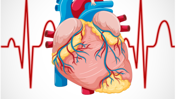 Advancements are transforming the future of the cardiovascular embolic protection device market