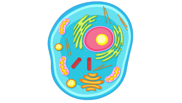 Scientists craft precise droplet printer for single-cell screening