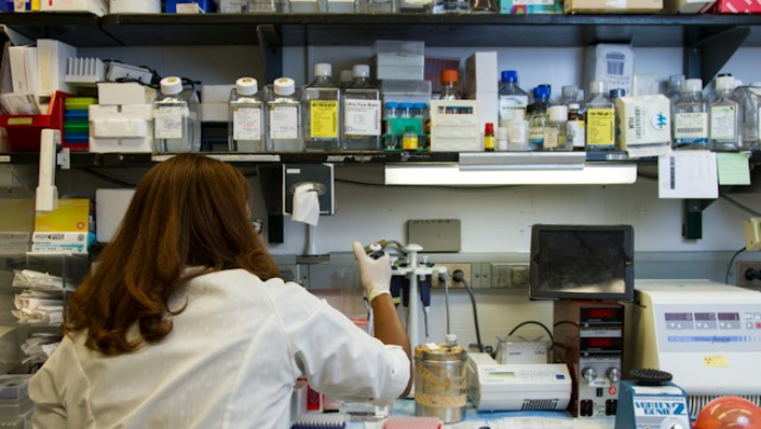 MIT Study Pinpoints Six Systemic Factors Contributing to Patient Hazards in Laboratory Diagnostics Tests