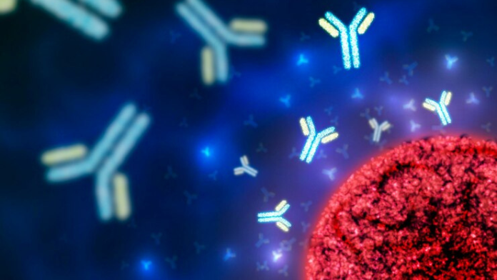 Scientists discover novel antibodies that might enhance flu vaccines