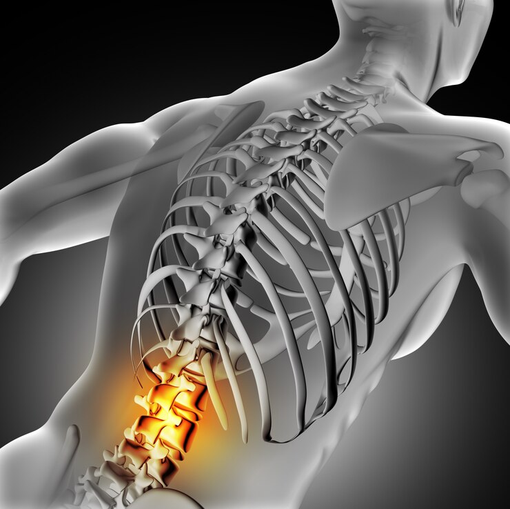 Researchers Propose 3D Exoscope as New Spine Surgery Gold Standard