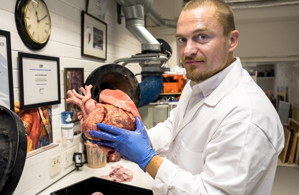 Researchers at NTU made an advancement by creating lifelike 3D printed hearts