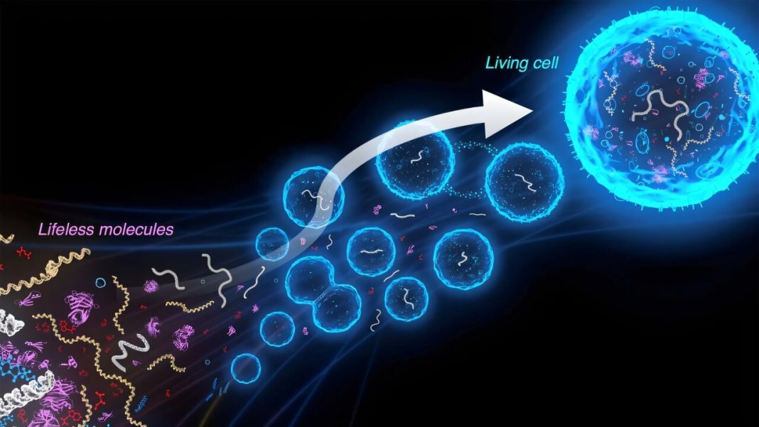 Scientists Form Synthetic Cells Change Shape When Exposed to Light